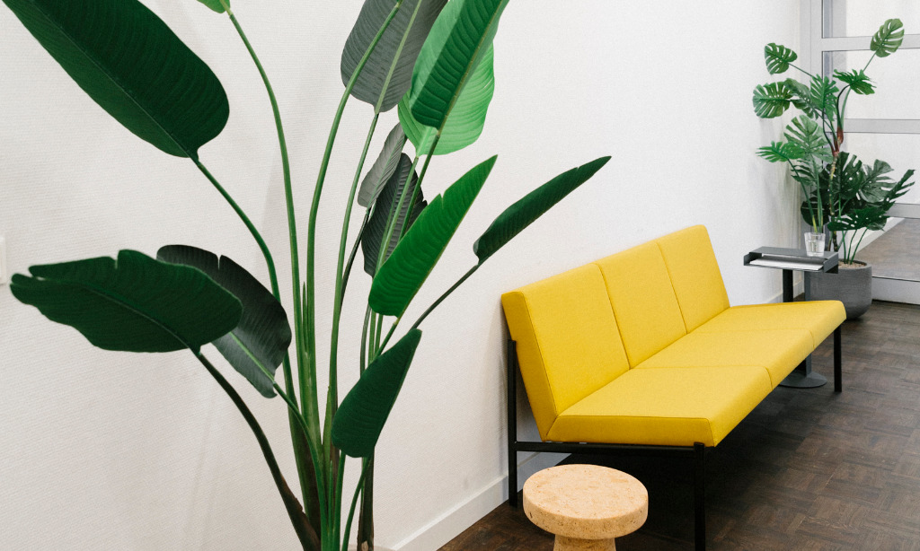 St. Oberholz ist Dein Ansprechpartner für die Bürovermittlung in Berlin und Umgebung Bild: Pflanzen und modernes Sofa als Büroeinrichtung